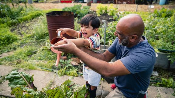 A father and son, watering their allotment plot and laughing.